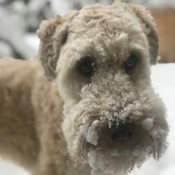 Meet your Posher, Lisa - Picture 1 of 1